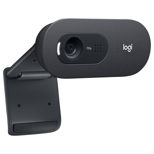 Logitech C505e USB Webkamera